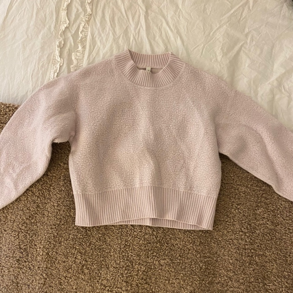 Aritzia Cropped Sweatshirt